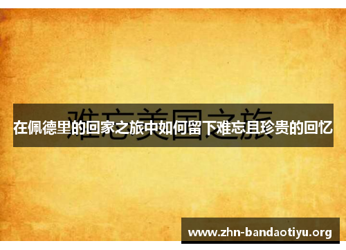 在佩德里的回家之旅中如何留下难忘且珍贵的回忆